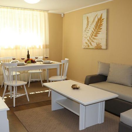 Cluj City Center Apartment Εξωτερικό φωτογραφία